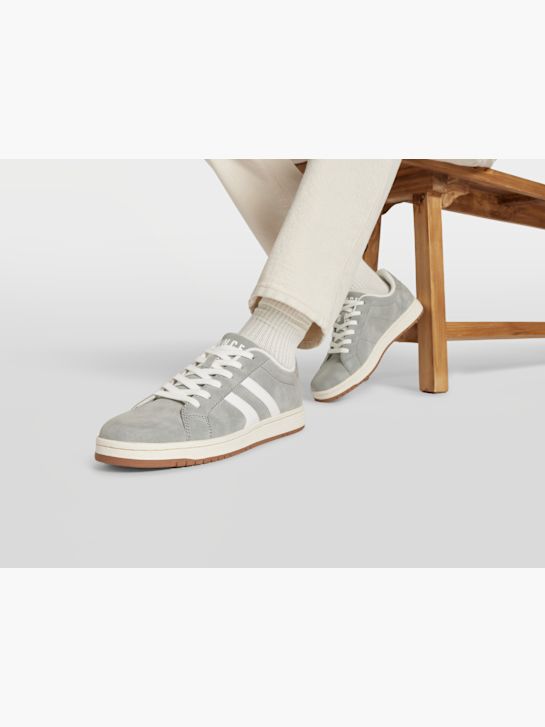 wenecki trener grey ДЕЙХМАНН